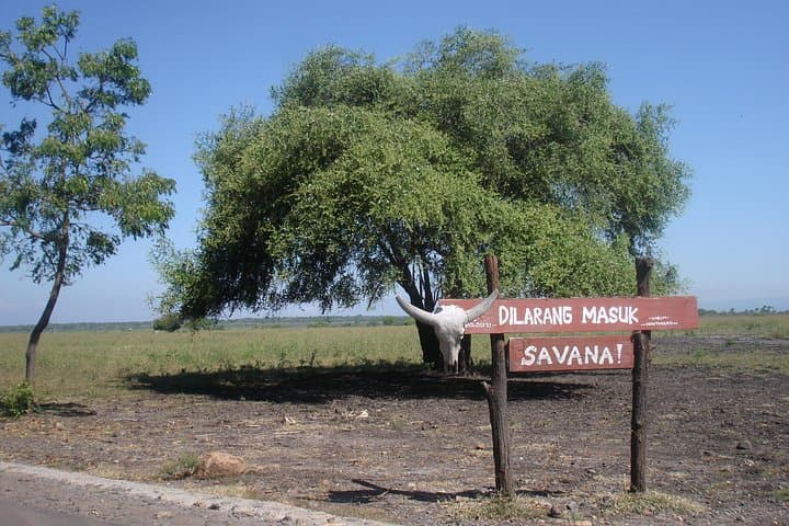 Baluran National Park: Bama Beach, Bekol Savannah & Gua Jepang Day Trip photo 2