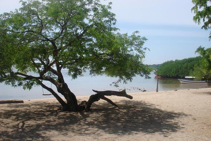 Baluran National Park: Bama Beach, Bekol Savannah & Gua Jepang Day Trip photo 3