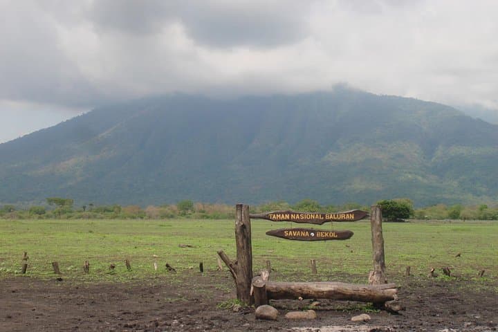 Baluran National Park: Bama Beach, Bekol Savannah & Gua Jepang Day Trip photo 4