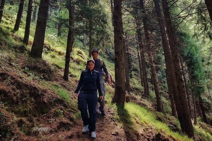 Top Tibba Day Hike: 8,500 ft Panoramic Trek Near Mussoorie photo 2
