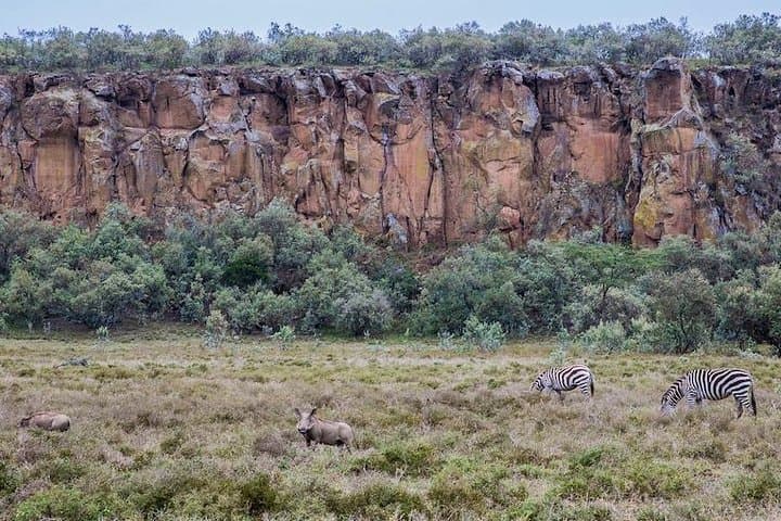 Hells Gate & Lake Naivasha Day Trip from Nairobi: Walk the Gorges and Boat Crescent Island photo 5