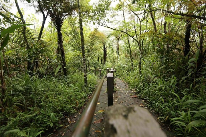Trek Mount Mahawu and Lokon: Volcano Crater Hike from Manado photo 4