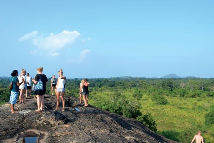 Hurulu Eco Park Private Safari: Close-Up Sri Lankan Elephant Encounters Near Habarana photo 3