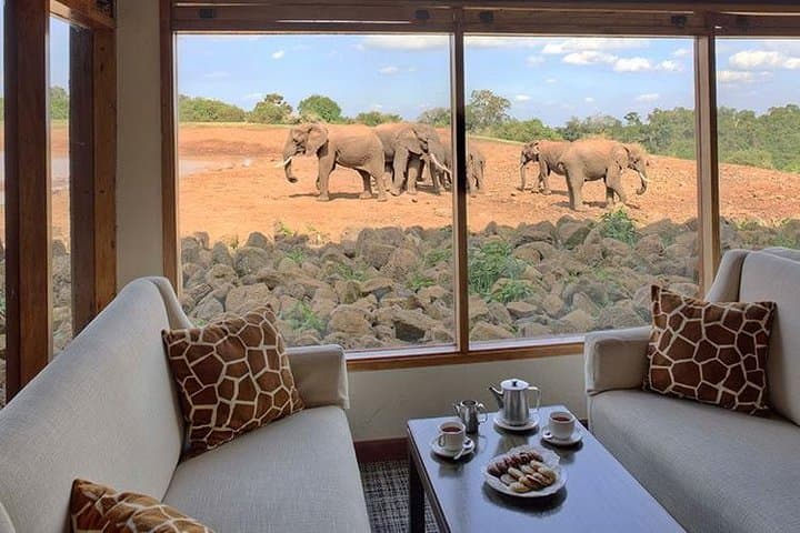 10-Day Kenya Safari: Big Five & Seven Parks from Nairobi