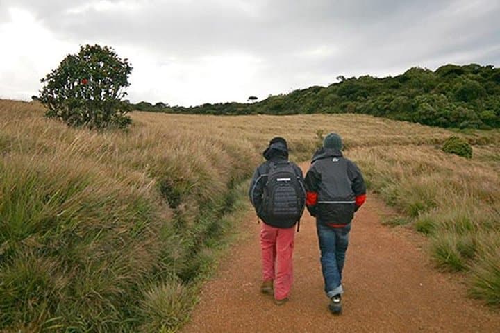 Misty Mountains 2-Day Private Horton Plains, Kandy & Nuwara Eliya Tour photo 2