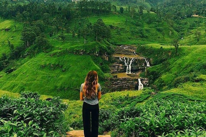 Misty Mountains 2-Day Private Horton Plains, Kandy & Nuwara Eliya Tour
