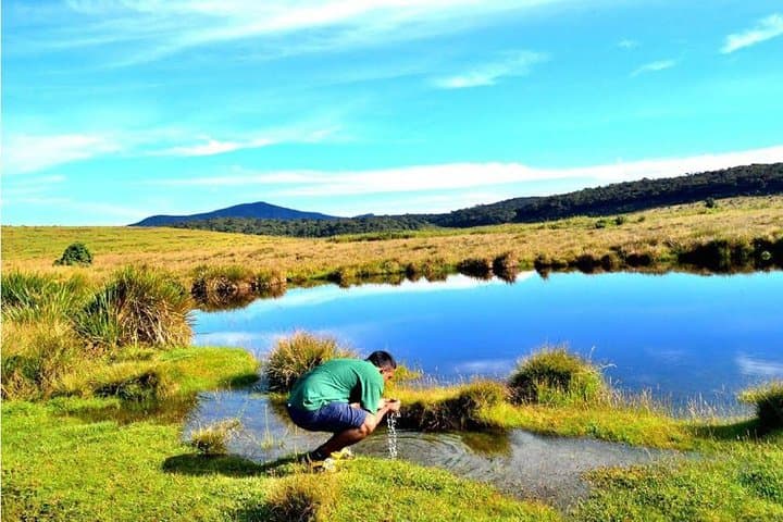 Misty Mountains 2-Day Private Horton Plains, Kandy & Nuwara Eliya Tour photo 6