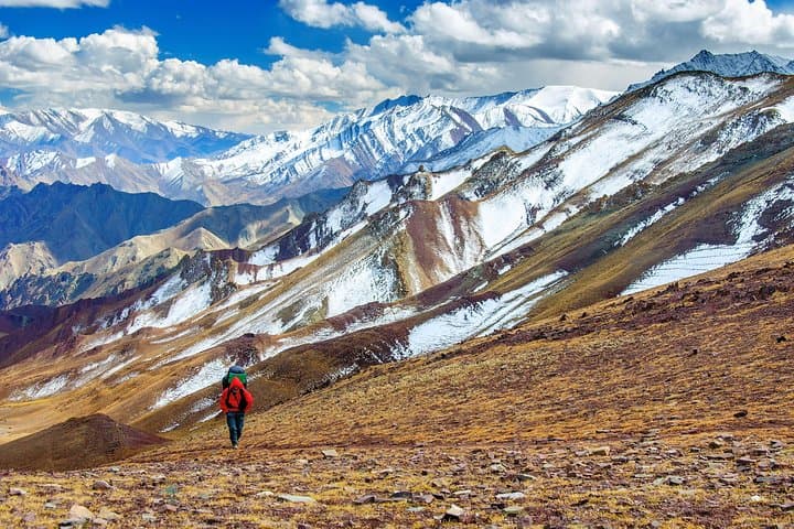 Markha Valley Trek: Ladakh High-Pass Route to Kongmaru La