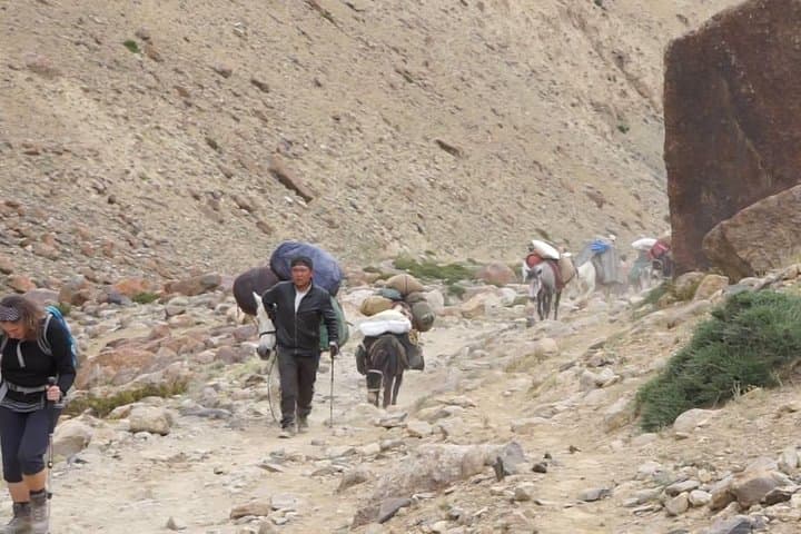 Markha Valley Trek: Ladakh High-Pass Route to Kongmaru La photo 6