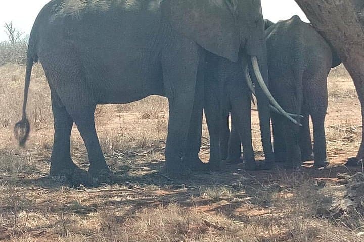 8-Day Masai Mara Migration Safari - Full Itinerary and Practical Guide photo 2