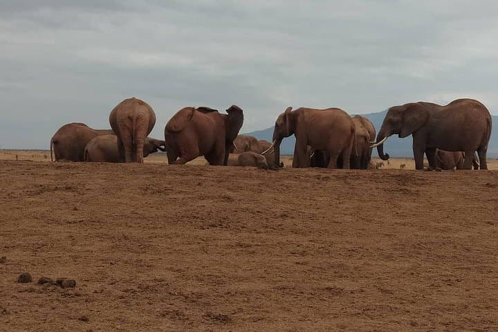 8-Day Masai Mara Migration Safari - Full Itinerary and Practical Guide photo 3