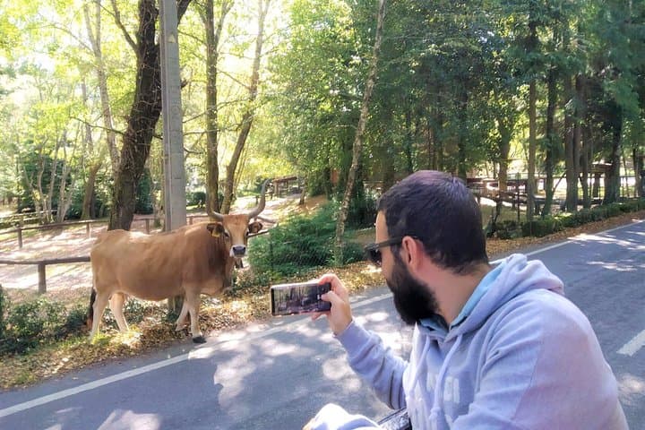 Peneda-Gerês Private Day Tour from Porto — All-Inclusive UNESCO Biosphere Experience photo 3
