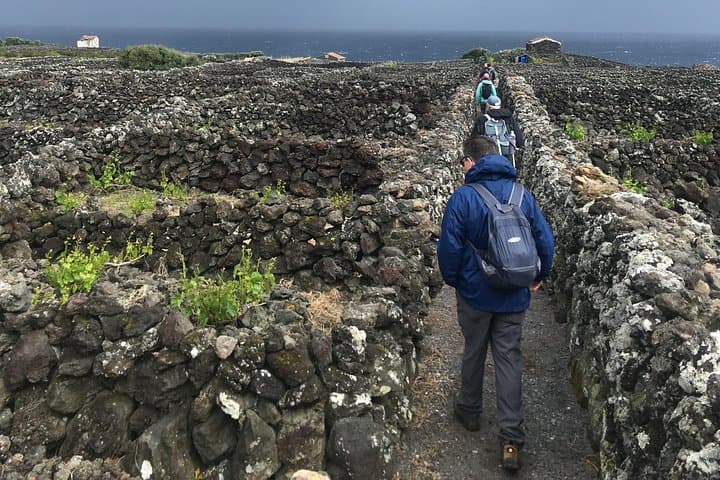 Biscoitos Wine and Vineyards Hike — Terceira’s Verdelho Trail Experience photo 5