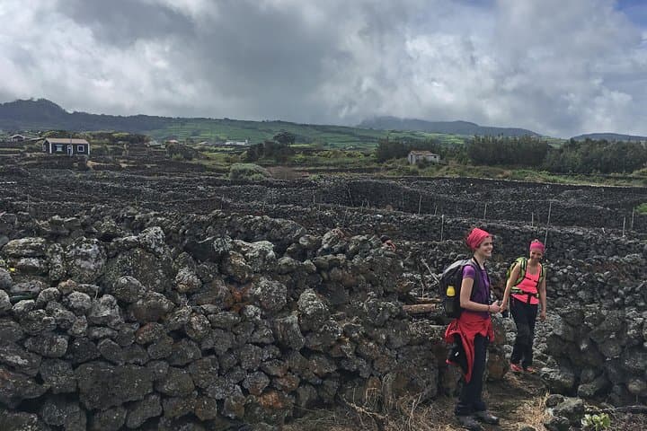 Biscoitos Wine and Vineyards Hike — Terceira’s Verdelho Trail Experience photo 4