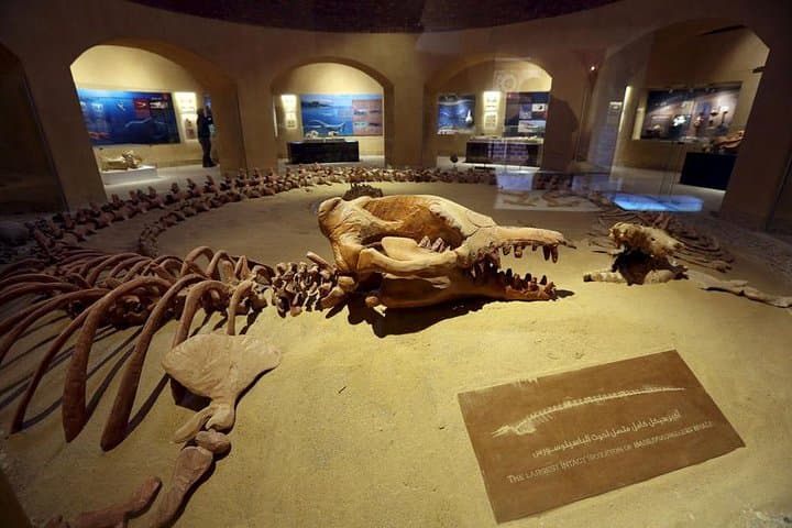 Fayoum Oasis Day Tour: Whales Valley & Wadi El Rayan Waterfalls from Cairo photo 2