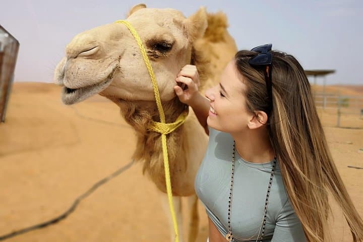 Dubai Desert Quad Safari: Sunset Dunes, Sandboarding & Camp Dinner photo 4
