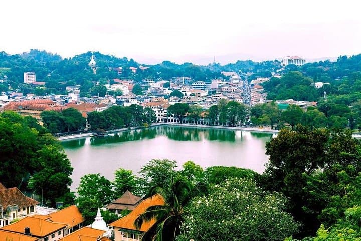 8-Day Sri Lanka Circuit: Culture, Wildlife & Highlands Adventure photo 3