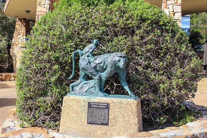 Private Cape Point and Cape of Good Hope Day Tour from Cape Town photo 4