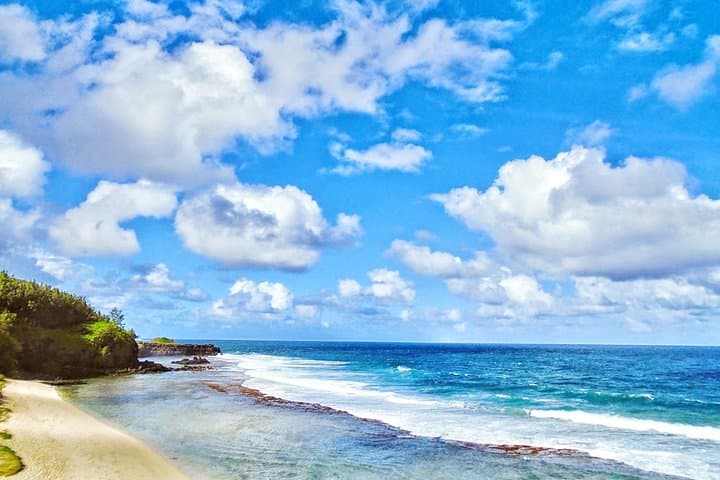 South Mauritius Day Tour: Blue Bay Glass-Bottom Boat, Snorkelling & La Vanille Reserve photo 6