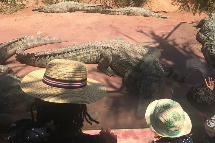 Agadir Day Trip from Marrakech: Beaches, Argan Groves & Kasbah Views photo 2