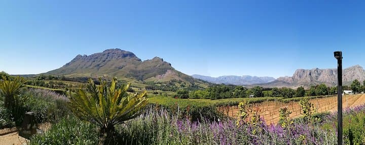 Private Full-Day Cape Winelands Wine Tour — Stellenbosch & Franschhoek photo 5