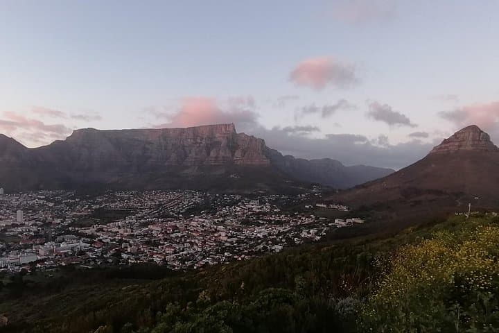 Private Cape Peninsula Tour: Cape of Good Hope, Seal Island & Boulders Beach Penguins photo 2