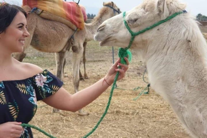Private Camel Ride in Marrakech Palm Groves with Tea Break and Village Visit photo 4