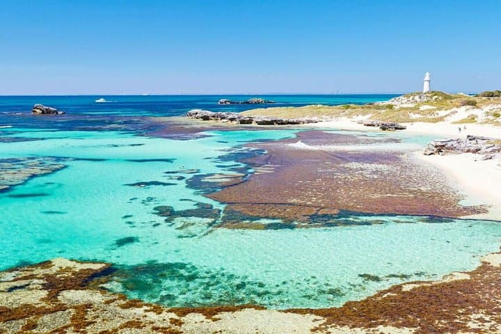 Rottnest Island Bayseeker Day Trip: Ferry, Quokkas & Coastal Highlights from Perth photo 1