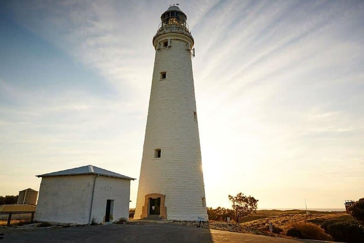 Full-Day Rottnest Island Grand Tour: Heritage Train, WWII Tunnels & Beaches