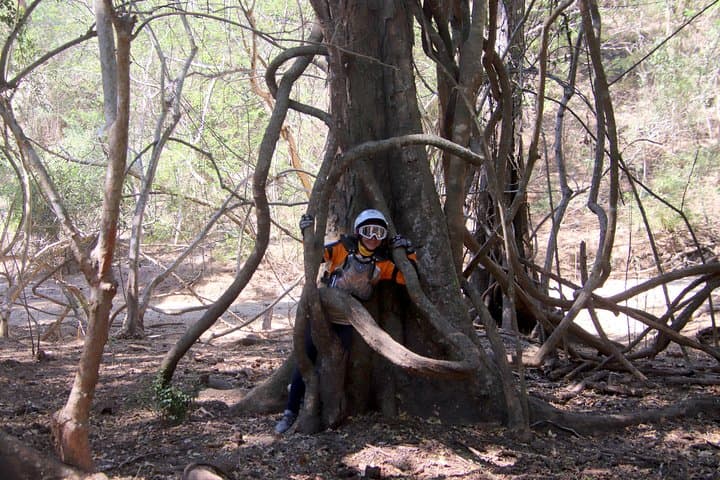 Sierra Vallejo Jungle Hike: 5km Beginner Trek in the Sierra Madre Occidental photo 5