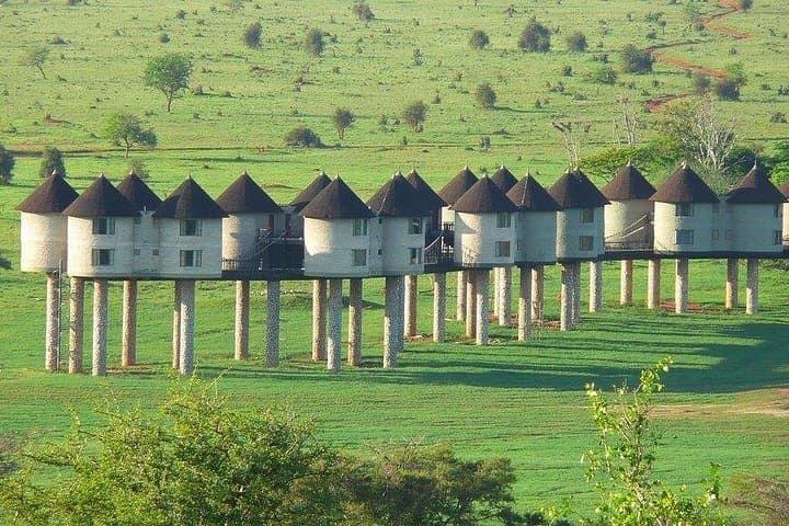 3-Day Safari: Tsavo East & Taita Hills at Saltlick Lodge photo 1
