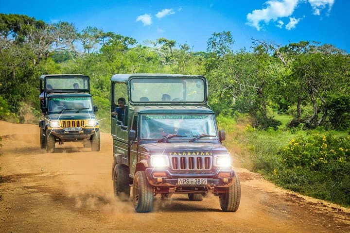 Two-Day Private Leopard Safari in Yala National Park from Colombo photo 4