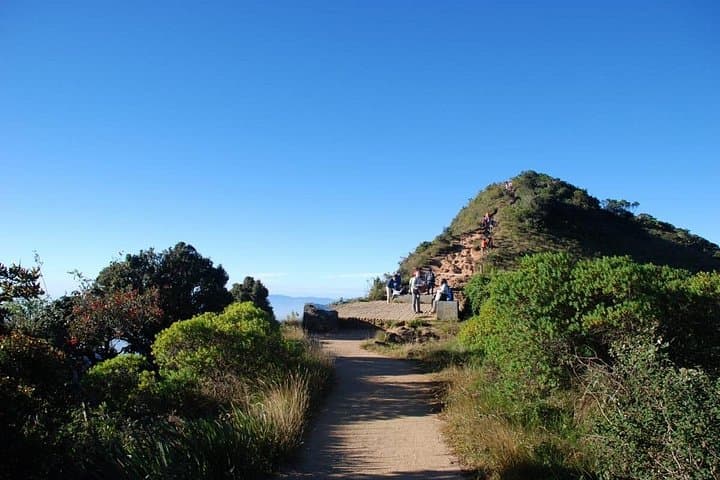 3-Day Hill Country Circuit: Kandy, Nuwara Eliya & Ella from Colombo photo 4