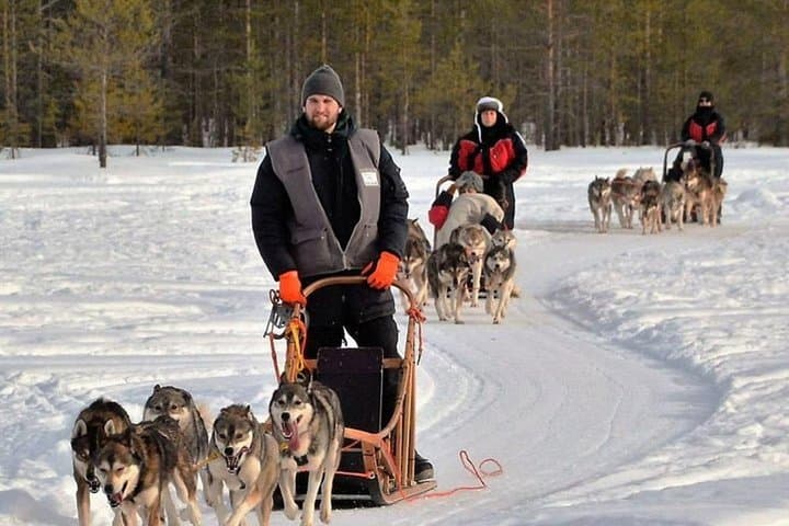Husky Safari from Levi: 2km & 5km Husky Sledge Rides in Lapland photo 6