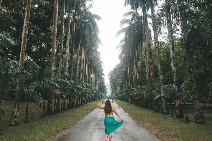 4-Day Glimpse of Sri Lanka: Kandy, Bentota & Colombo Highlights photo 2