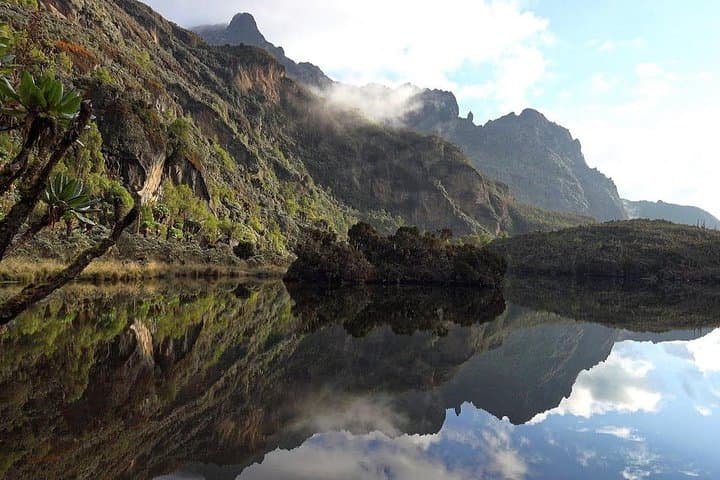 Rwenzori Summit Trek: 7-Day Guided Hike to Margherita Peak, Uganda photo 4