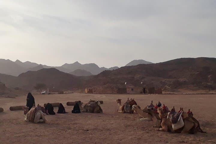 Red Sea Desert Quad Bike Safari: 5-Hour Hurghada Adventure photo 2