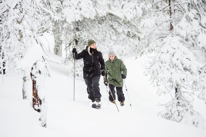 Classic Wilderness Skiing in Pyhä‑Luosto National Park — Beginner Altai Ski Tour in Finnish Lapland