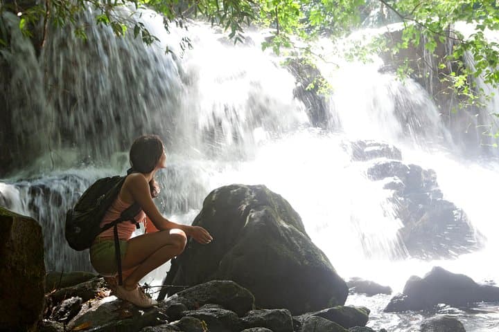 Hiking Black River Gorges Park: Waterfalls, Endemic Forests & Half-Day Trails photo 2