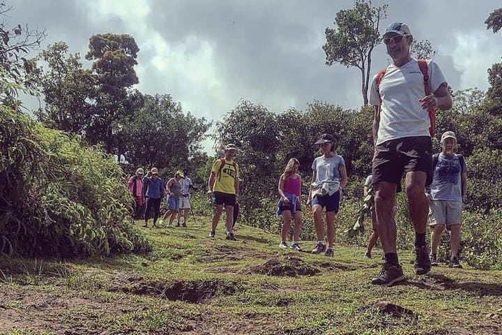 Hiking Black River Gorges Park: Waterfalls, Endemic Forests & Half-Day Trails photo 3
