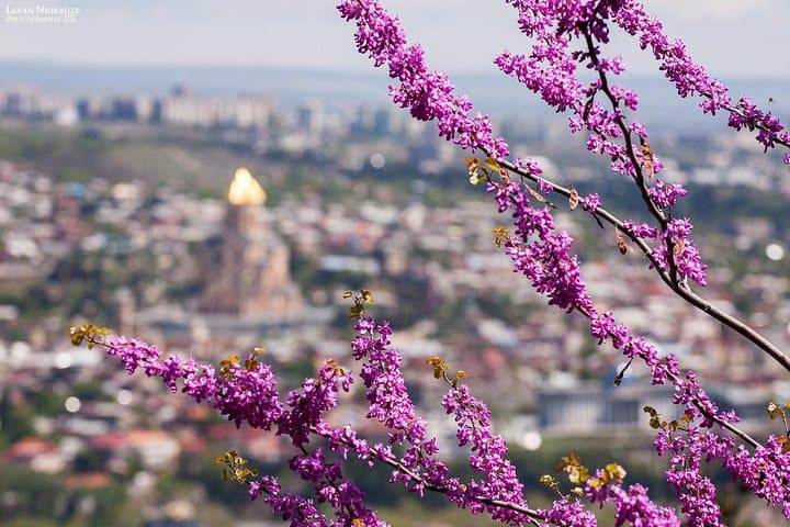 Tbilisi Private 6-Hour Tour: Old Town, Sameba Cathedral & Mtatsminda Park photo 3