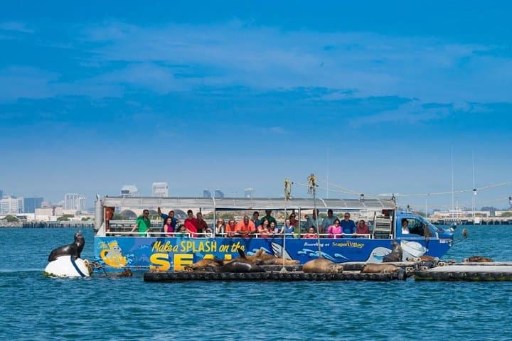 San Diego Seal Tour: Amphibious Shore Excursion from Seaport Village photo 6
