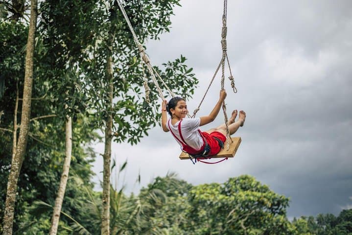 Sidemen Swing: Hilltop Coconut-Tree Swing with Mount Agung Views