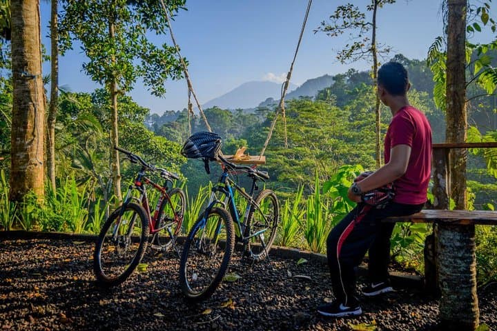 Sidemen Swing: Hilltop Coconut-Tree Swing with Mount Agung Views photo 3