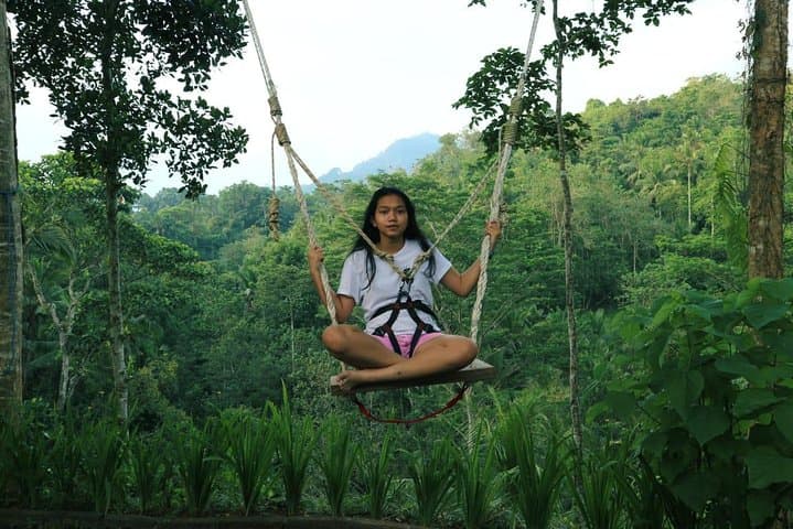 Sidemen Swing: Hilltop Coconut-Tree Swing with Mount Agung Views photo 4