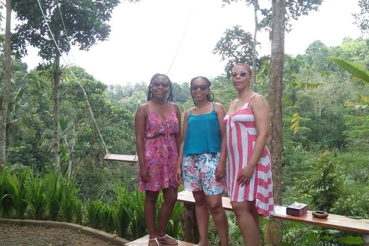 Sidemen Swing: Hilltop Coconut-Tree Swing with Mount Agung Views photo 6