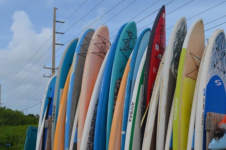 Key West Stand Up Paddleboard Rental — Explore Stock Island Mangroves photo 2