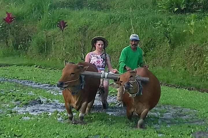 Sidemen Countryside Cycling & Trekking — Rice Terraces, Weaving Villages, and Temples photo 1