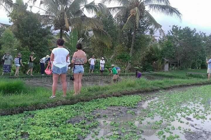 Sidemen Countryside Cycling & Trekking — Rice Terraces, Weaving Villages, and Temples photo 4