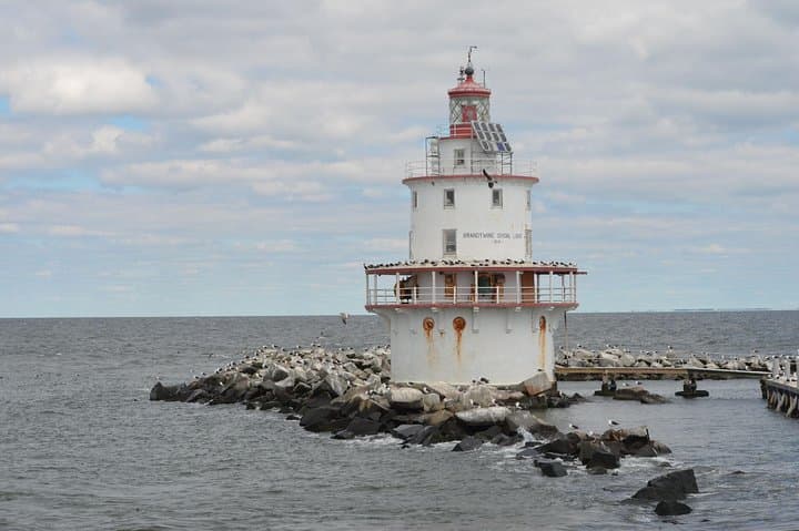 Grand Lighthouse Tour from Cape May — Delaware Bay Offshore Lighthouse Cruise photo 3